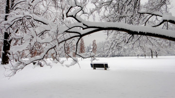 Картинка природа зима снег парк скамья