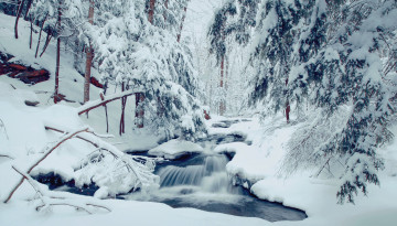 Картинка природа зима лес деревья река течение пейзаж снег