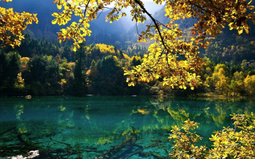 Картинка природа реки озера горы лес деревья озеро ветки осень