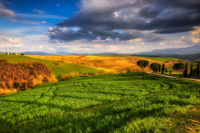Обои картинки фото природа, поля, луга, солнечно, облака, трава, тоскана, tuscany, небо, деревья, италия