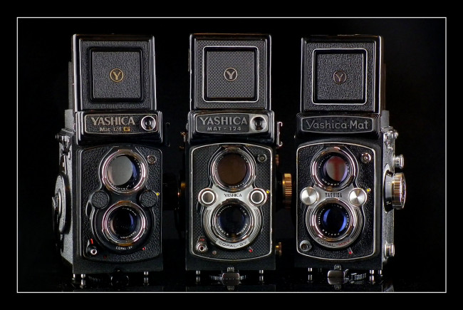 Обои картинки фото yashica mat family, бренды, бренды фотоаппаратов , разное, фотокамера
