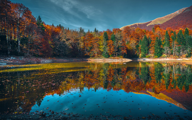 Обои картинки фото природа, реки, озера, озеро, отражение, лес, красота, осень, золотая, небо, вода, деревья, зеркало