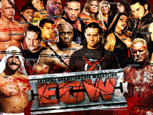 Обои картинки фото ecw, спорт, wwe