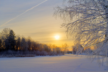 Картинка природа зима швеция снег деревья утро солнце восход