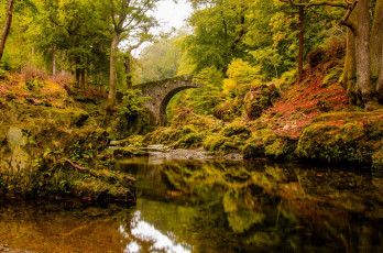 Картинка природа реки озера река лес осень мост отражение деревья