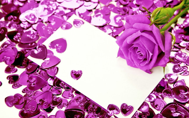 Обои картинки фото цветы, розы, роза, сиреневый, сердечки, бумага