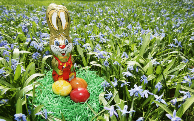Обои картинки фото праздничные, пасха, цветы, шоколадный, заяц, яйца
