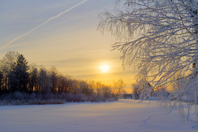 Обои картинки фото природа, зима, швеция, снег, деревья, утро, солнце, восход