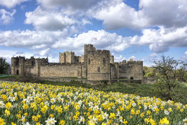 Обои картинки фото alnwick castle, города, - дворцы,  замки,  крепости, луг, замок, цветы