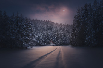 Картинка природа дороги ночь снег зима луна домик лес следы