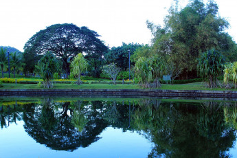 Картинка природа парк пруд отражение