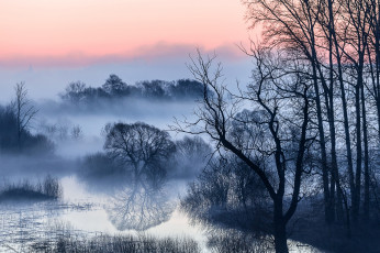 Картинка природа реки озера деревья ветки туман
