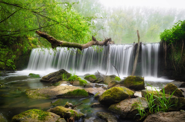 Обои картинки фото природа, водопады, вода, деревья, водопад, камни