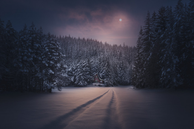 Обои картинки фото природа, дороги, ночь, снег, зима, луна, домик, лес, следы