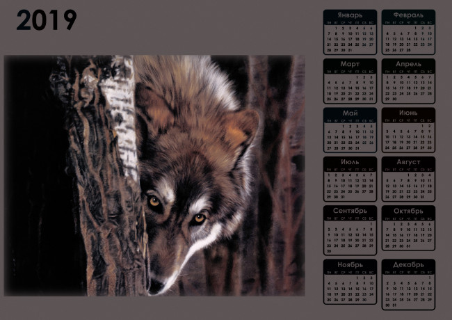 Обои картинки фото календари, рисованные,  векторная графика, волк, взгляд, морда