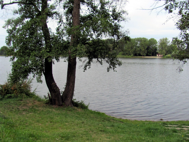 Обои картинки фото природа, реки, озера, пруд