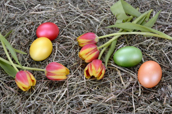 Картинка праздничные пасха яйца гнездо тюльпаны