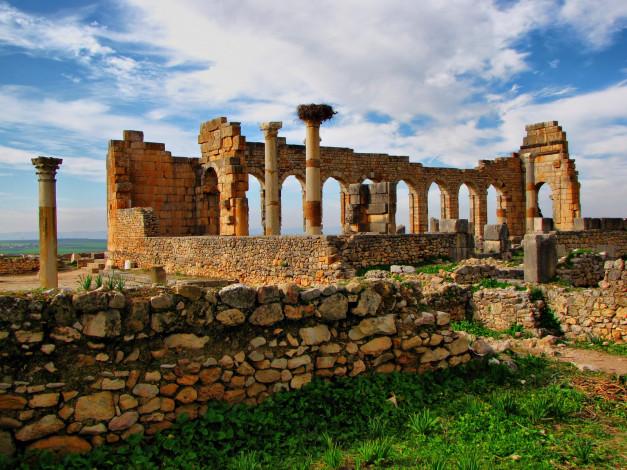 Обои картинки фото volubilis, roman, ruins, morocco, africa, города, исторические, архитектурные, памятники