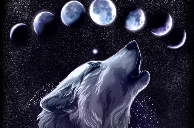 Обои картинки фото рисованные, животные, волки, луна