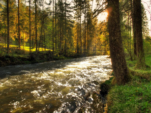 Картинка река schwarzbach австрия природа реки озера лес
