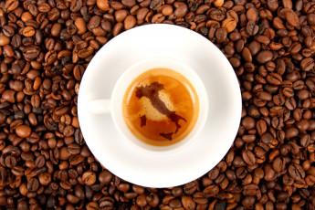 Картинка еда кофе кофейные зёрна напиток