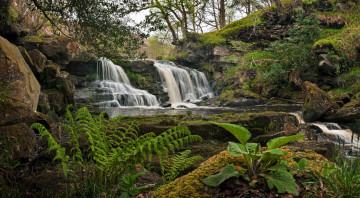 Картинка природа водопады водопад пейзаж камни растения