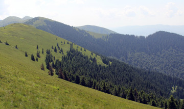 Картинка украина закарпатье негровець природа горы