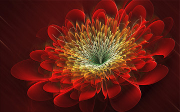 Картинка 3d 3д графика flowers цветы фрактал