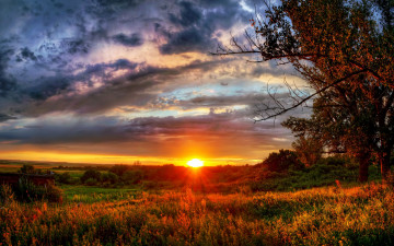 Картинка пейзаж природа восходы закаты закат поле деревья