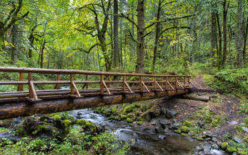 Картинка природа лес пейзаж парк мост река
