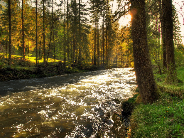 Обои картинки фото река, schwarzbach, австрия, природа, реки, озера, лес