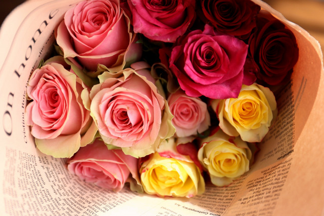 Обои картинки фото цветы, розы, газета, букет