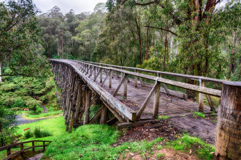 Картинка природа дороги ручей мост овраг лес