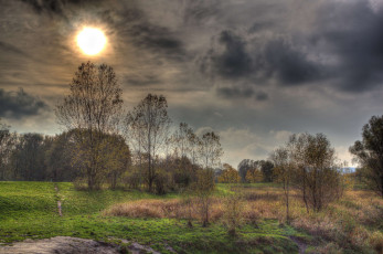 Картинка природа восходы закаты лес поле тучи солнце сумрак