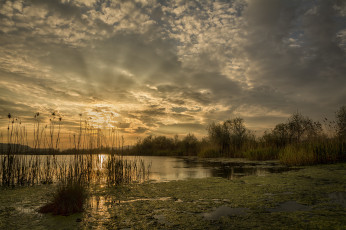 Картинка природа реки озера рассвет деревья озеро солнце облака лучи вода