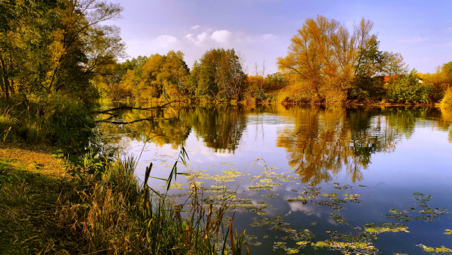 Обои картинки фото природа, реки, озера, озеро, осень, тишина, отражение
