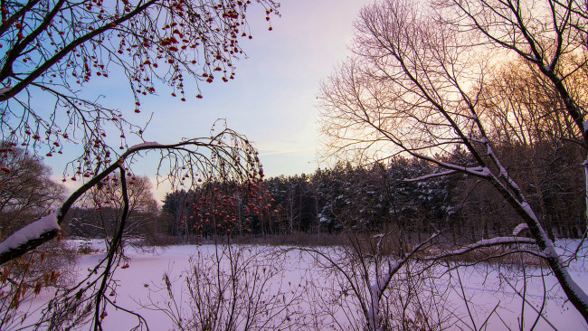 Обои картинки фото природа, зима, красота, родной