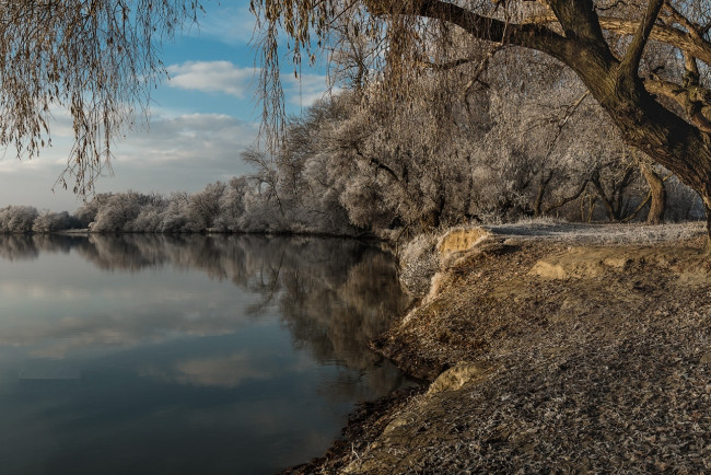 Обои картинки фото природа, реки, озера, отражение, озеро, берег, ивы, иней, владимир, тузлай