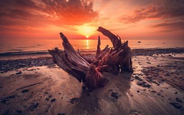 Картинка природа восходы закаты пляж beach sunlight солнце небо море sky wood sea nature