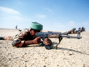 Картинка оружие армия спецназ солдаты