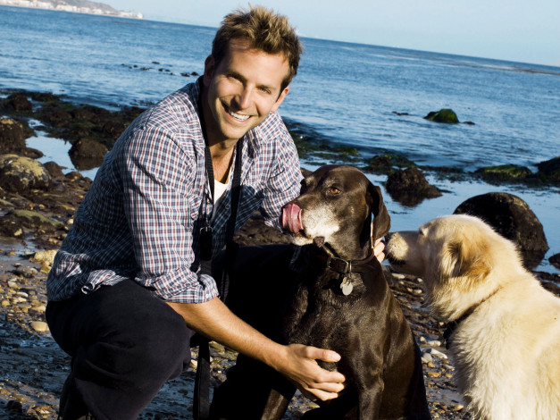 Обои картинки фото bradley, cooper, мужчины, море, собаки