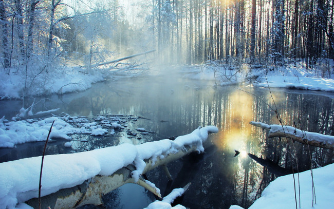 Обои картинки фото природа, зима, лес, река, снег