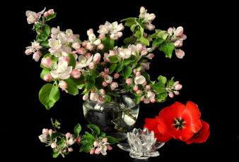 Картинка цветы разные вместе яблоня тюльпаны ваза