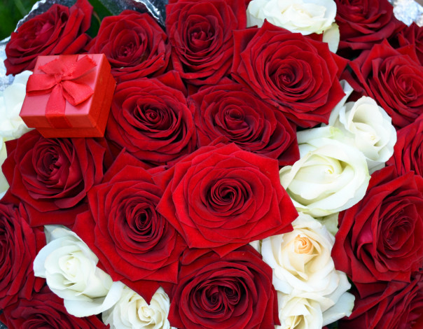 Обои картинки фото цветы, розы, бутоны, коробочка, подарок