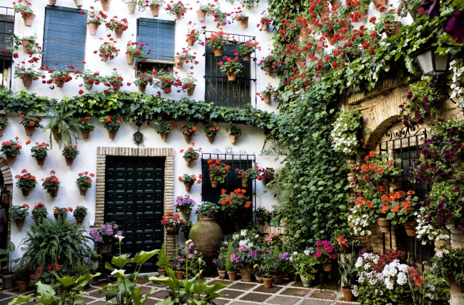 Обои картинки фото cordoba, andalusia, spain, цветы, разные, вместе, двор, вазоны