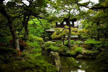 Картинка природа парк зелень пагода