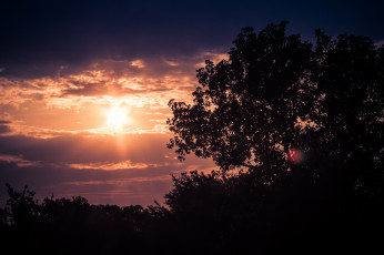 Картинка природа восходы закаты сумерки облака солнце деревья вечер
