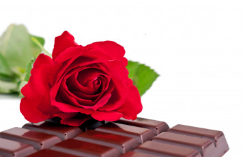 Картинка еда конфеты +шоколад +сладости плитка роза