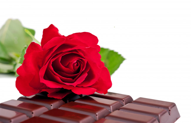 Обои картинки фото еда, конфеты,  шоколад,  сладости, плитка, роза
