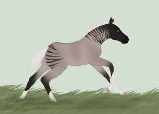 Картинка рисованное животные +лошади лошадка